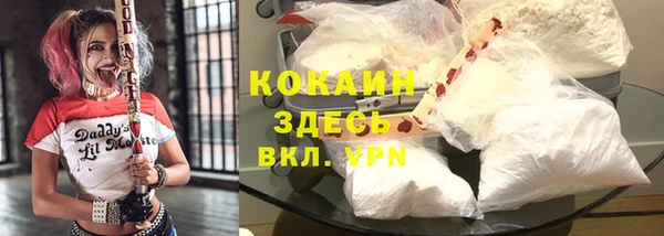 apvp Володарск