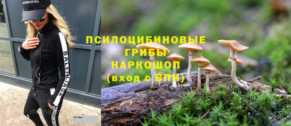 apvp Володарск