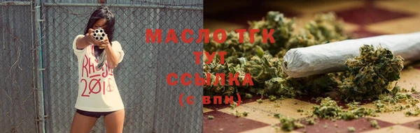 прущая мука Вяземский