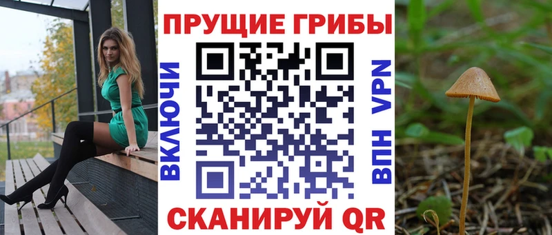 Галлюциногенные грибы MAGIC MUSHROOMS  Верхотурье 